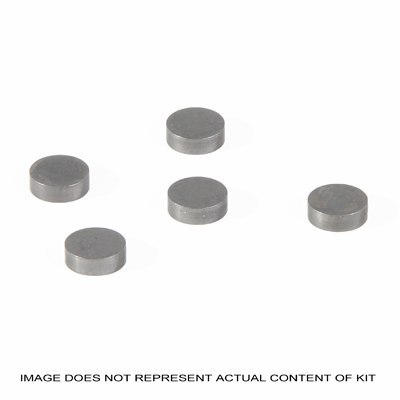 PROX PŁYTKA ZAWOROWA 10,00 X 2,10 MM 1 SZT.