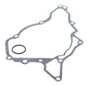 VERTEX USZCZELKA ALTERNATORA Z125 PRO 17-18