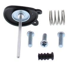ZESTAW NAPRAWCZY POMPKI PRZYŚPIESZANIA TRX450R 04-