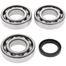 ŁOŻYSKA WAŁU KORBOWEGO MAGNUM 500 4X4 HDS AA 01-02