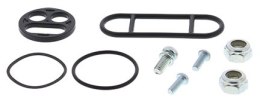 ZESTAW NAPRAWCZY KRANIKA ARCTIC CAT 250 300