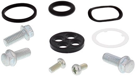 ZESTAW NAPRAWCZY KRANIKA HONDA CRF250X 08-17