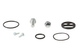 ZESTAW NAPRAWCZY KRANIKA KAWASAKI KX125 03