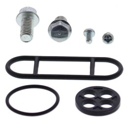ZESTAW NAPRAWCZY KRANIKA KAWASAKI KEF300 95