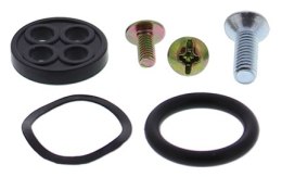 ZESTAW NAPRAWCZY KRANIKA KFX50 07-17, KFX90 07-17
