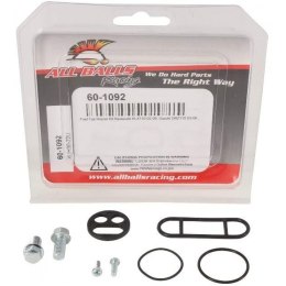 ZESTAW NAPRAWCZY KRANIKA KLX110 02-09 DRZ110 03-06