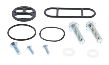 ZESTAW NAPRAWCZY KRANIKA KAWASAKI ZX7R 96-03