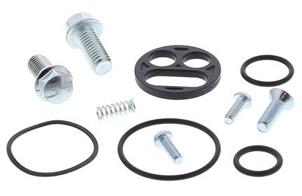 ZESTAW NAPRAWCZY KRANIKA KAWASAKI ZZR1100 93-