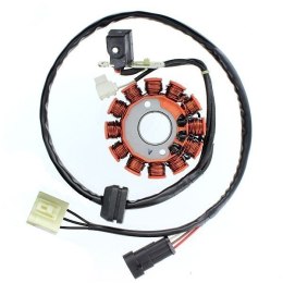 UZWOJENIE STATOR MALAGUTI CENTRO 160 08-11