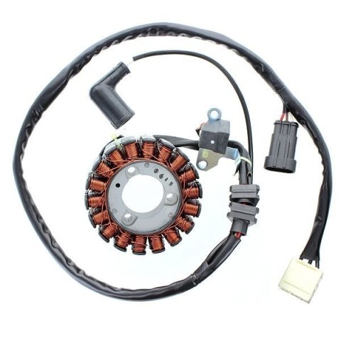 UZWOJENIE STATOR PIAGGIO 125/300 BEVERLY