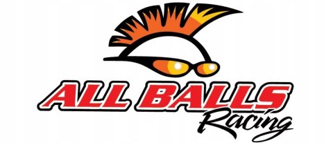 Zestaw Naprawczy Zacisku Tył Yfm 700 06-12