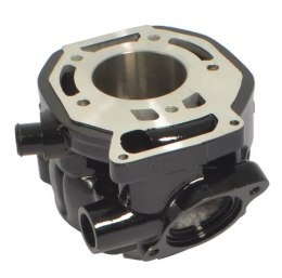 ATHENA CYLINDER HONDA MTX R2H 125 , NS F 125 , 56,00MM NICASYL
