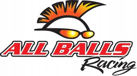 Zestaw Naprawczy Zacisku Tył Yfm550 09-14