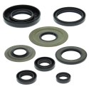 WINDEROSA ZESTAW USZCZELNIACZY SILNIKOWYCH YAMAHA YFM350 RAPTOR 04-13