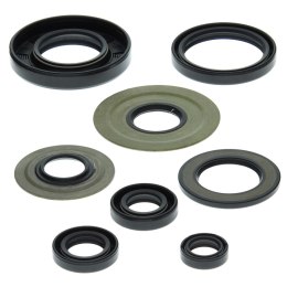 WINDEROSA ZESTAW USZCZELNIACZY SILNIKOWYCH YAMAHA YFM350 RAPTOR 04-13