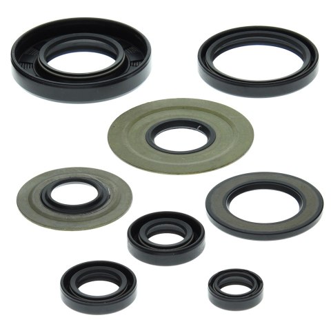 WINDEROSA ZESTAW USZCZELNIACZY SILNIKOWYCH YAMAHA YFM350 RAPTOR 04-13