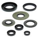 WINDEROSA ZESTAW USZCZELNIACZY SILNIKOWYCH YAMAHA YFM350 RAPTOR 04-13