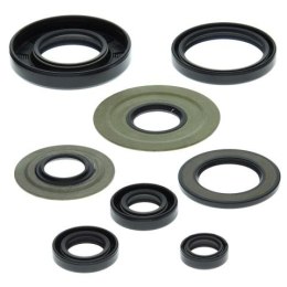WINDEROSA ZESTAW USZCZELNIACZY SILNIKOWYCH YAMAHA YFM350 RAPTOR 04-13