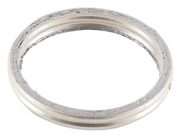 WINDEROSA USZCZELKA UKŁADU WYDECHOWEGO DR350 90-99