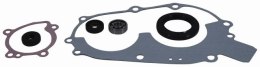 VERTEX ZESTAW NAPRAWCZY POMPY WODY POLARIS 400 94-