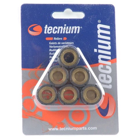 TECNIUM (VICMA) ROLKI WARIATORA 19X15 5,5G 6SZT. (3938) TECNIUM (VICMA) ROLKI WARIATORA 19X15 5,5G 6SZT. (3938)