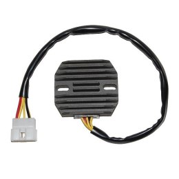 ELECTROSPORT REGULATOR NAPIĘCIA FZS 1000 01-05