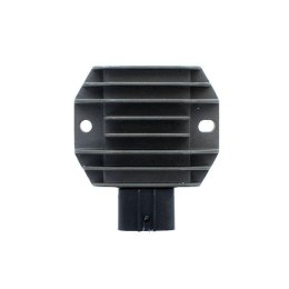ELECTROSPORT REGULATOR NAPIECIA R1/R1M 15-16