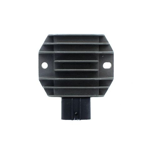 ELECTROSPORT REGULATOR NAPIECIA R1/R1M 15-16