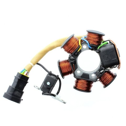 ELECTROSPORT STATOR APRILIA DERBI GILERA PIAGGIO VESPA 50CCM