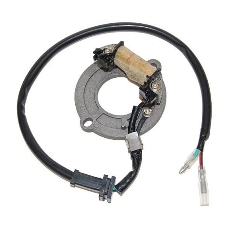 ELECTROSPORT STATOR HONDA CR 80 83-02, 85 03-04