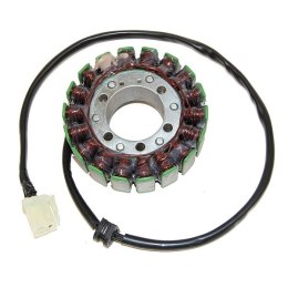 ELECTROSPORT UZWOJENIE STATOR TRIUMPH TIGER 955 01