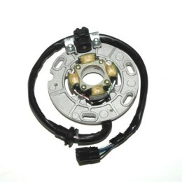 ELECTROSPORT STATOR YAMAHA YZ 125 96-04
