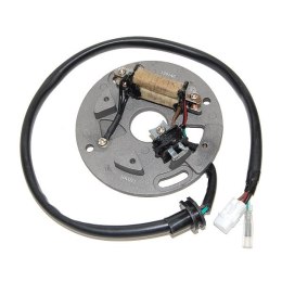 ELECTROSPORT STATOR YAMAHA YZ 250 90-95, WR250 90-