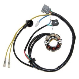 UZWOJENIE STATOR SUZUKI RMZ 250 04 50W