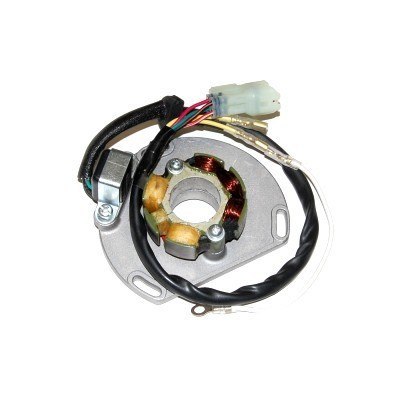 ELECTROSPORT UZWOJENIE STATOR KTM 125 200 250 300
