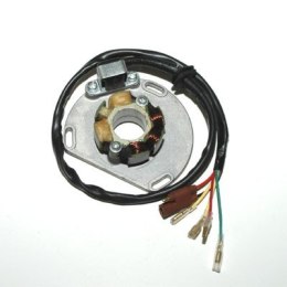 ELECTROSPORT UZWOJENIE STATOR KTM 50W Z PŁYTĄ I IM