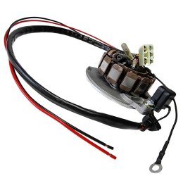 ELECTREX STATOR Z REGULATOREM KTM/GAS GAS