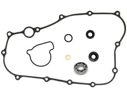 PSYCHIC ZESTAW POMPY WODY CRF 250R/X 04-09