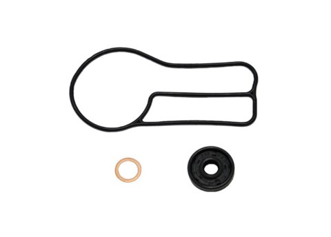 PSYCHIC ZESTAW POMPY WODY SX/EXC 250/300 03-16