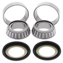 ŁOŻYSKA GŁÓWKI RAMY BMW F650/800 GS 06-