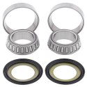 ŁOŻYSKA GŁÓWKI RAMY CR125/250 93-07 05-