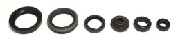 ATHENA ZESTAW USZCZELNIACZY SILNIKA RMZ450 05-07