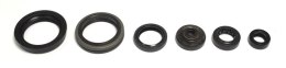 ATHENA ZESTAW USZCZELNIACZY SILNIKA RMZ450 05-07