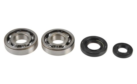 ŁOŻYSKA WAŁU KORBOWEGO YAMAHA YZ 250 01-17 ŁOŻYSKA WAŁU KORBOWEGO YAMAHA YZ 250 01-17