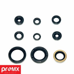 PROMX ZESTAW USZCZELNIACZY SILN. KXF250 04-05