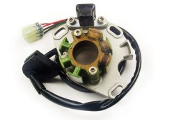 ELECTREX STATOR SUZUKI RM 250 01-08 KOMPLETNY