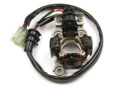 ELECTREX STATOR YAMAHA YZF 450 06-09