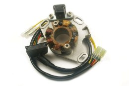 ELECTREX STATOR ZE ŚWIATŁAMI SUZUKI RM 250 02