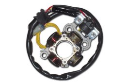 ELECTREX UZWOJENIE ALTERNATORA ZE ŚWIATŁAMI YZF450