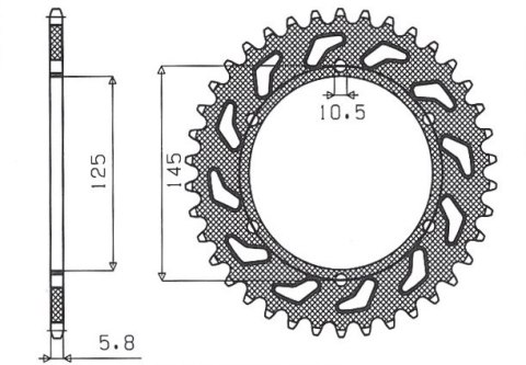 SUNSTAR ZĘBATKA TYLNA 866 48 XJ 600 DIVERSION 95-03